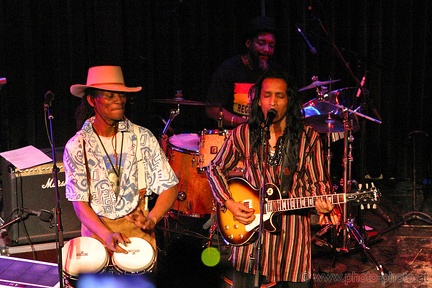 Bongo Reggae (20071209 0003)